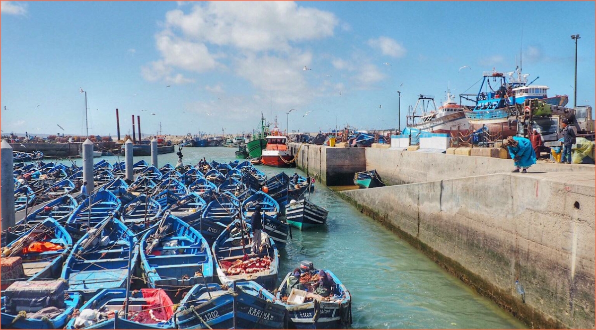 Day trip from Marrakech to Essaouira