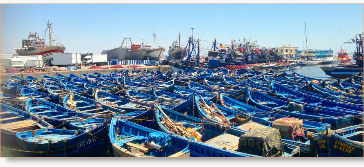 Marrakech day trips