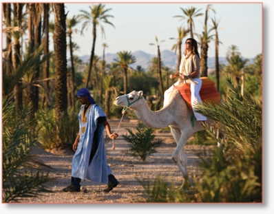 Day trip from Marrakech