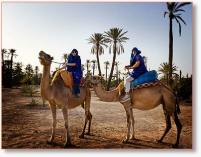 Day trip from Marrakech