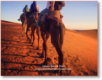 Merzouga excursions