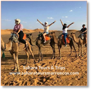 2 day tour from Marrakech to Zagora desert